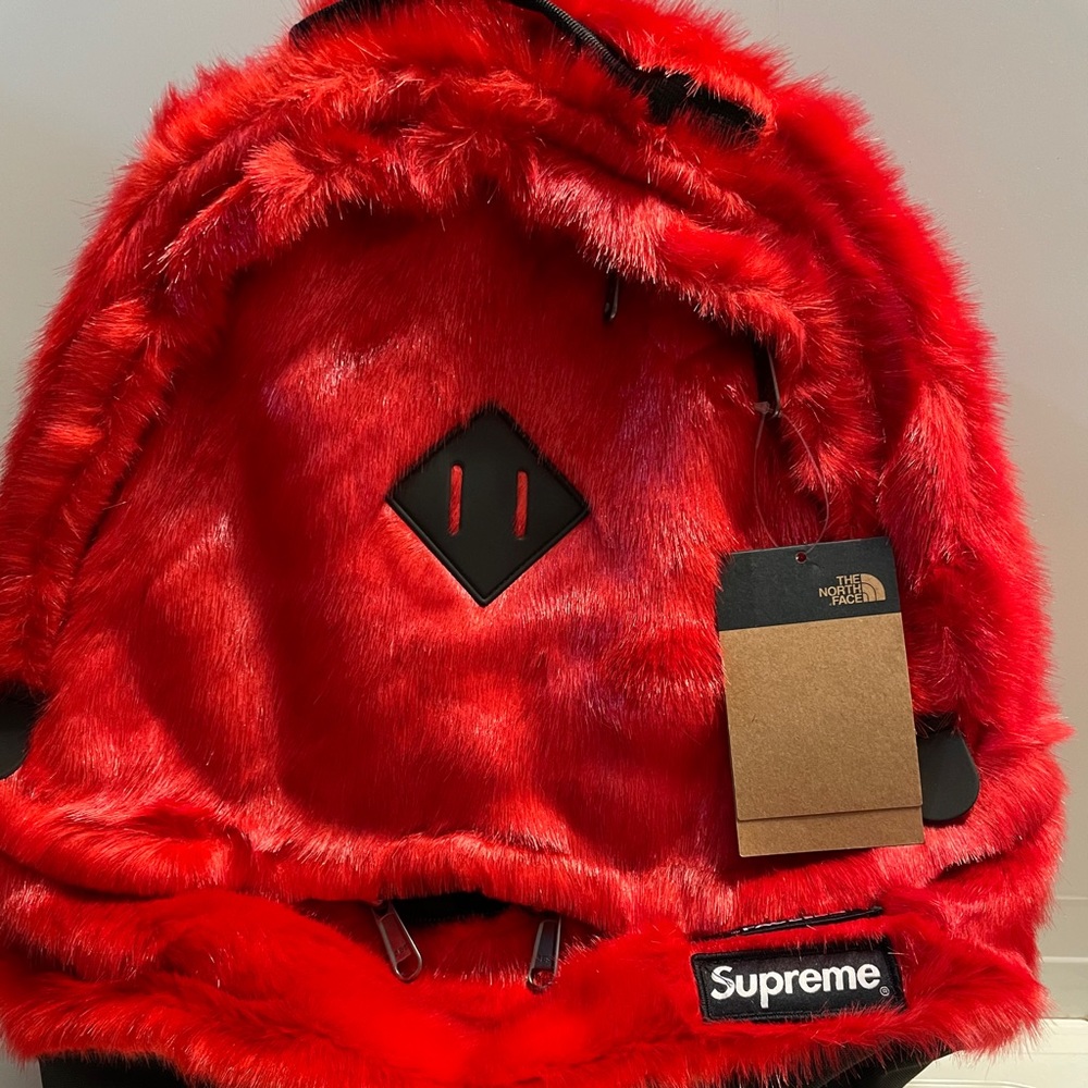 Supreme X The north Face faux fur backpack